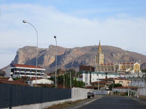 Arborização Urbana de Serra Talhada ganha certificado ambiental