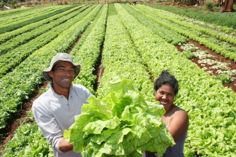 agricultura-familiar