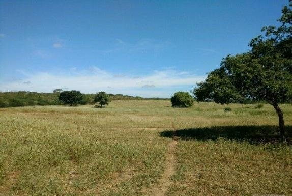 Fazenda localizada em Serra Talhada no Sertão do Pajeú - Foto Imagens MFrural