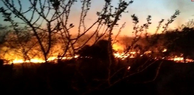 Serra Pelada, na área rural de Petrolina, sofre incêndio