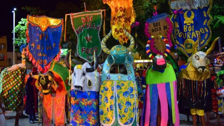 seletiva_folia_dos_bois_2017-1280x720 (1)