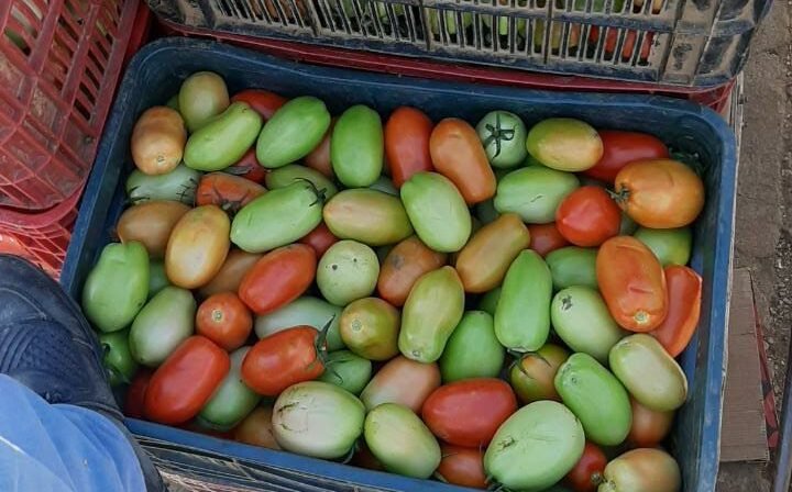 Os preços da cesta básica pesam no bolso dos sertanejos, mesmo com a redução no primeiro trimestre do ano