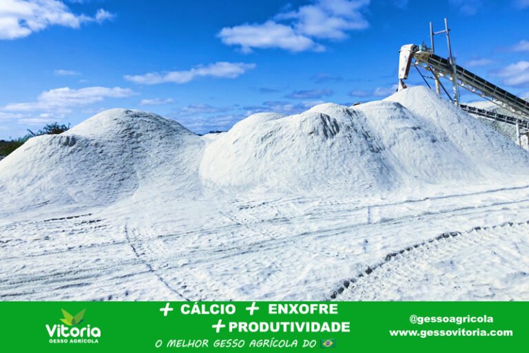FOTO 2 Grupo Vitória em Ipubi e Trindade já produz gesso agrícola