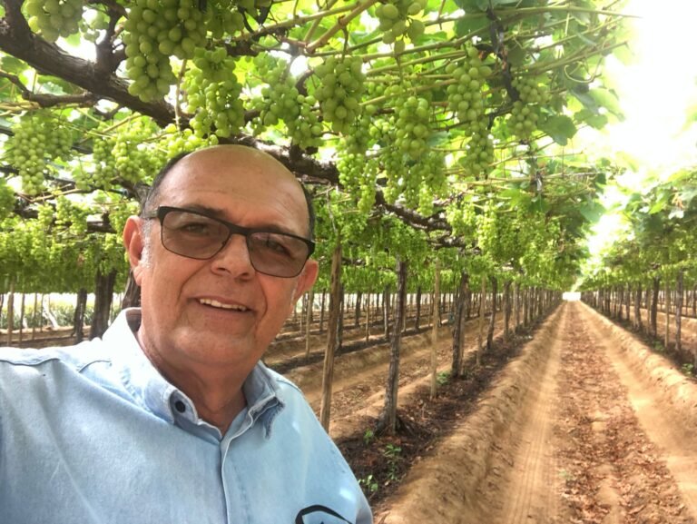 Jailson Lira de Paiva, na fazenda LiraAgro, em Petrolina