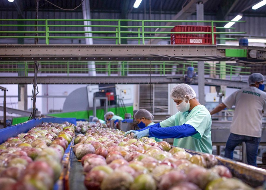 Como a Guerra entre Rússia e Ucrânia interfere nas exportações de frutas