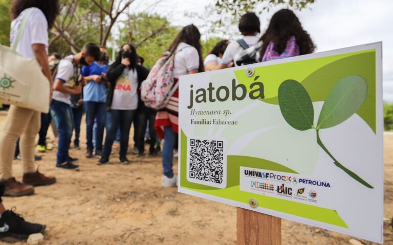 AYRTON LATAPIAT - PARQUE JOSEPHA COELHO (6)