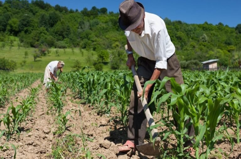 Agricultor familiar 02