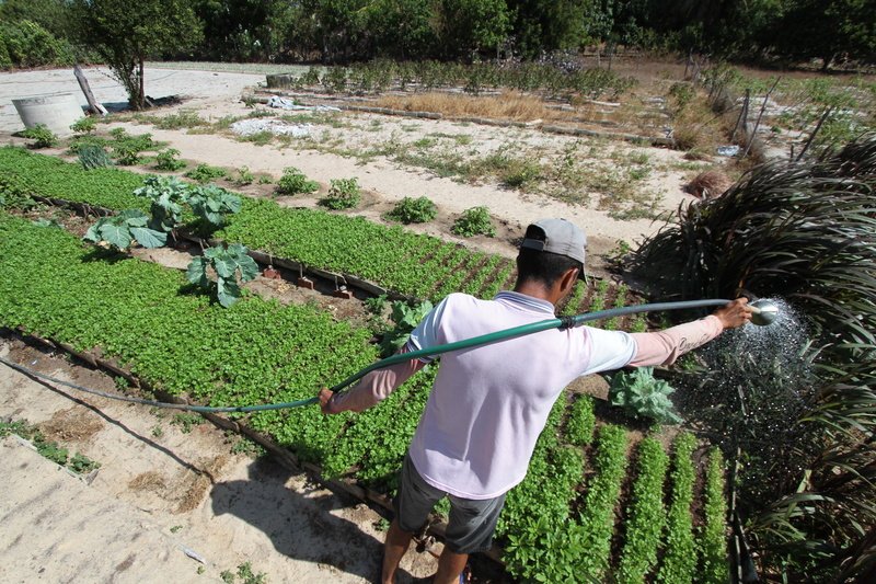 BNB comemora 19 anos do Programa Agroamigo com R$ 35 bilhões destinados aos pequenos agricultores