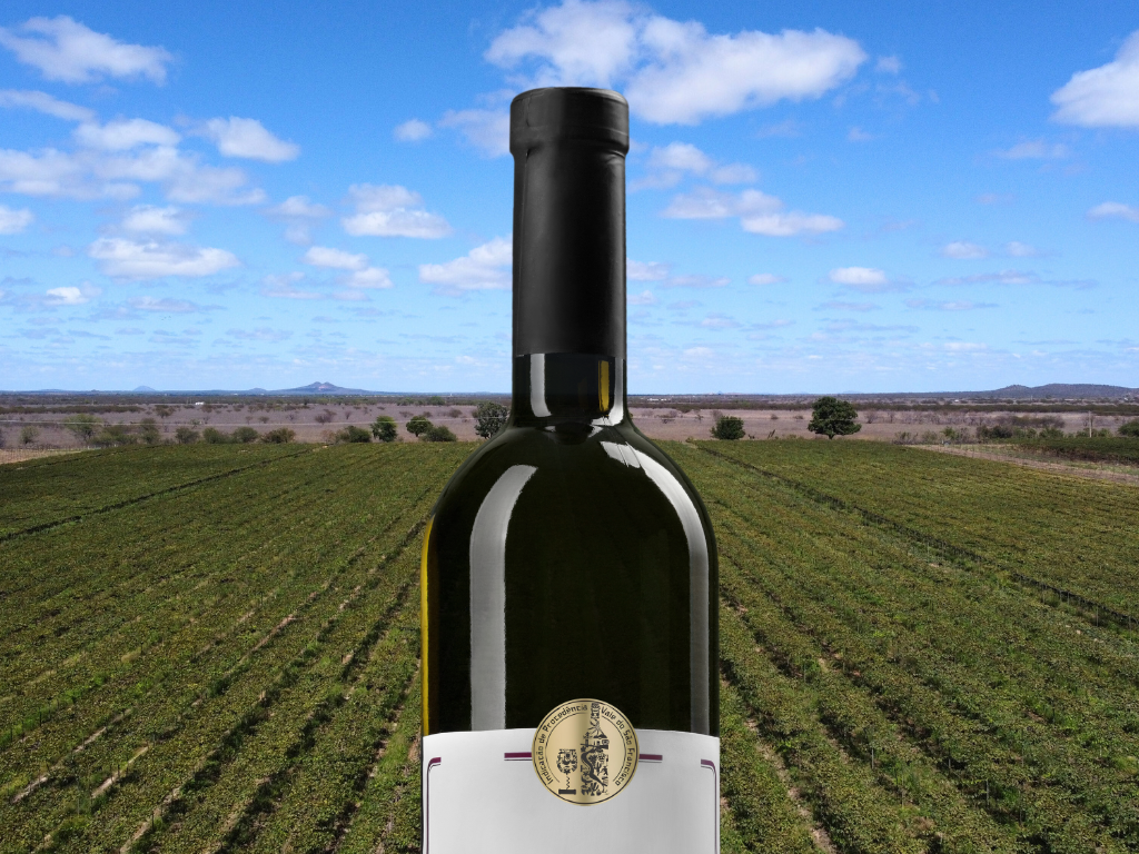 Vinhos pernambucanos e baianos passarão por rigoroso processo de avaliação antes de receberem selo