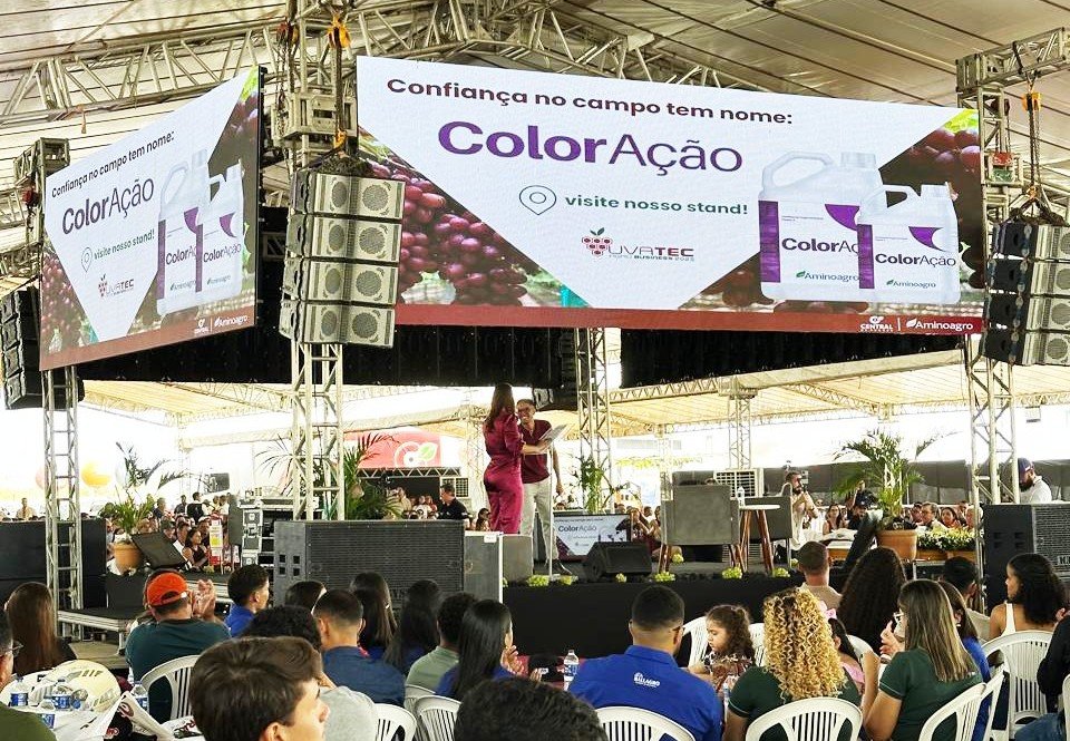 Encontro reúne especialistas e produtores de uvas do Vale do São Francisco