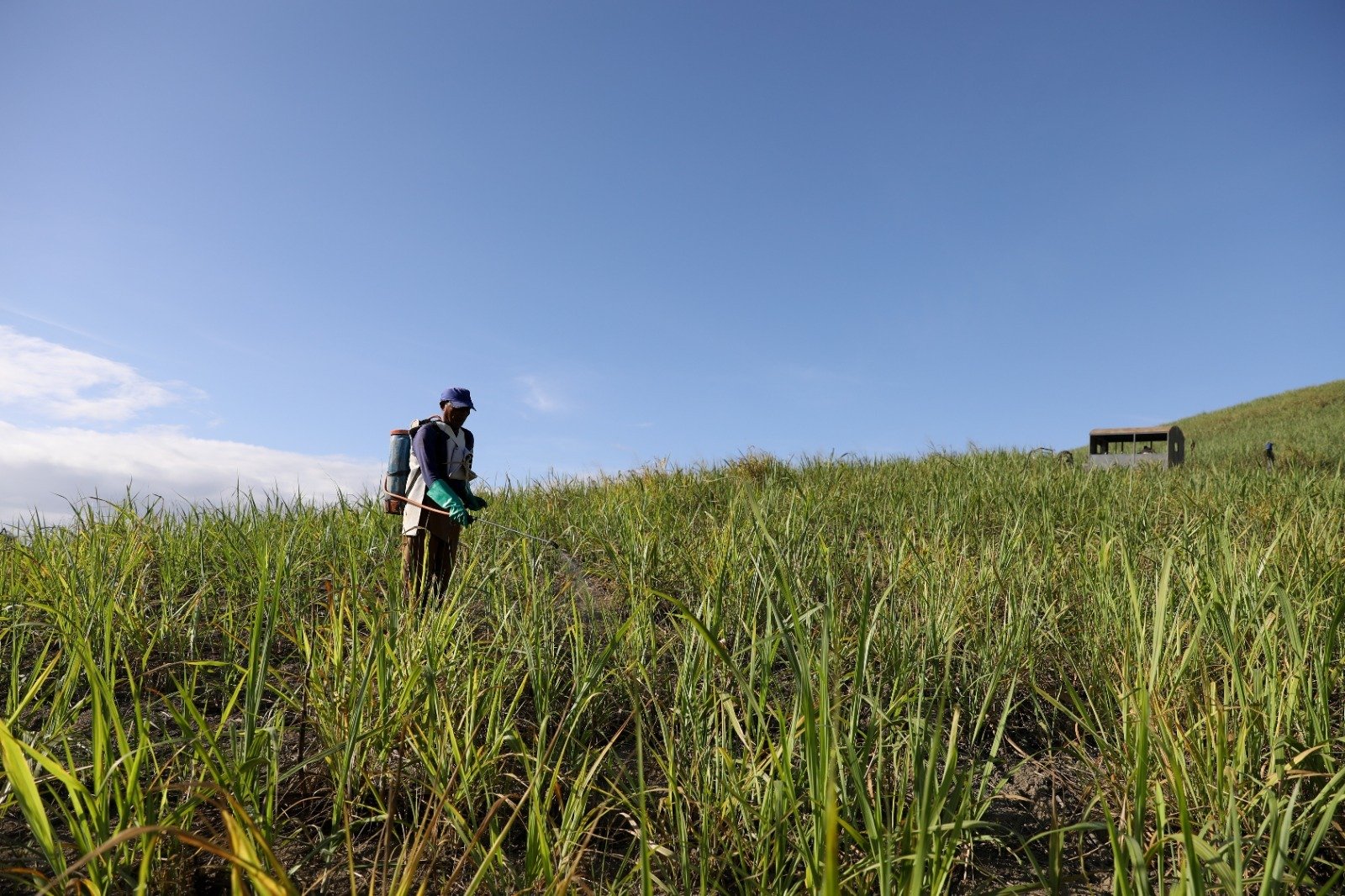 Pernambuco garante 18 mil toneladas de fertilizantes para impulsionar agricultura familiar na Zona da Mata